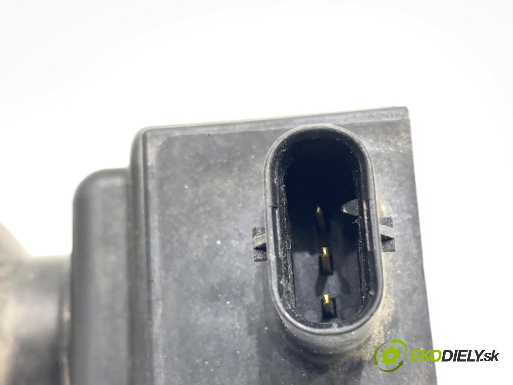 FORD ECOSPORT SUV 2018 108 kW 2.0 Flex 4x4 1999 Cievka zapaľovacia CM5E-12A366-CB (Zapaľovacia cievka)