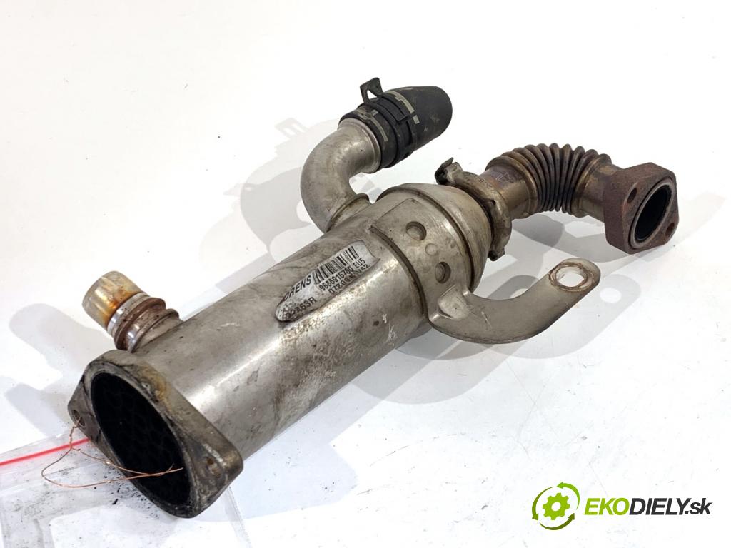 CITROEN C5 III sedan 2010 103 kW 2.0 HDi 140 1997 Chladič EGR 9686916780