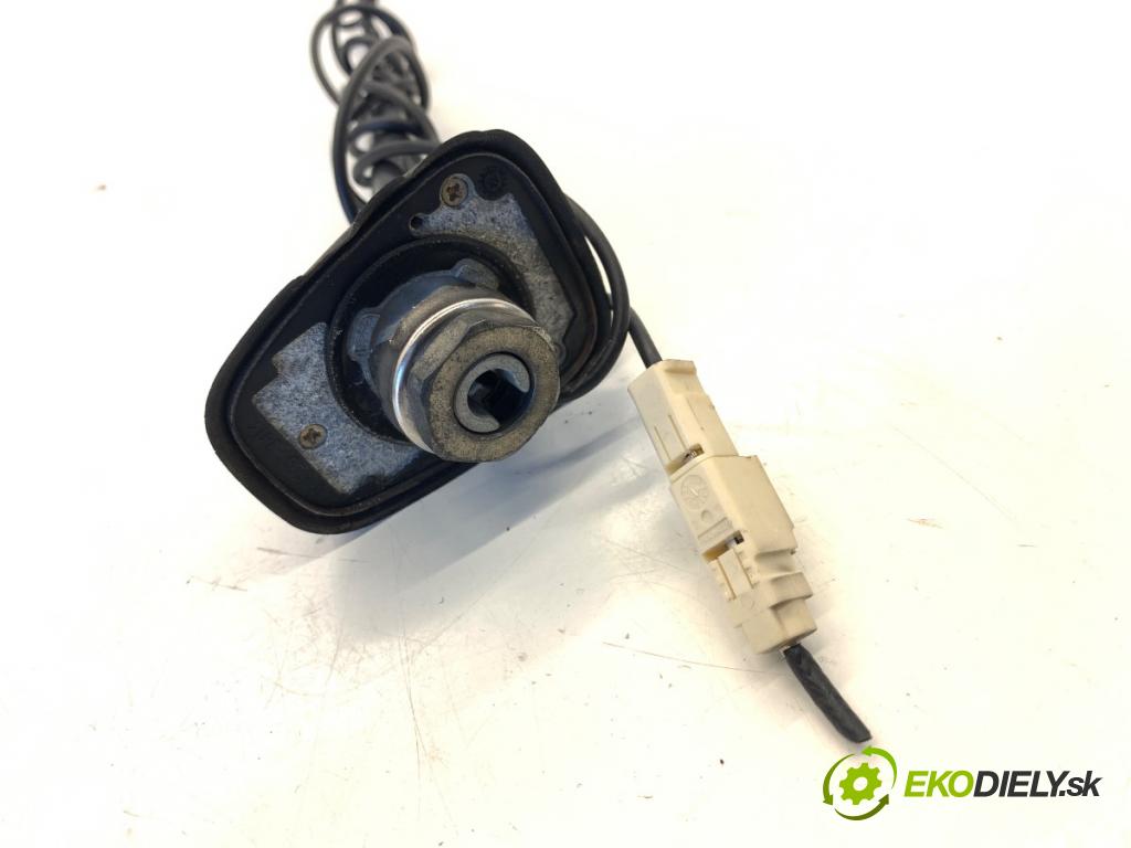 RENAULT CLIO III liftback 2009 74 kW 1.2 16V (BR0P, CR0P) 1149 ANTENA
