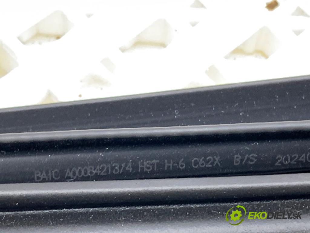 BAIC X75 SUV 2024 138 kW DCT 1498 tesnenie Dvere predný pravá