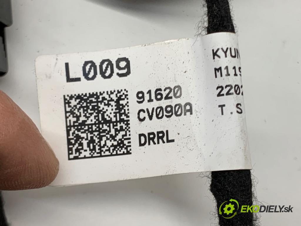 KIA EV6 liftback 2022 239 kW 77 AWD  Káblovačka Dvere zad ľavy 91620-CV090A