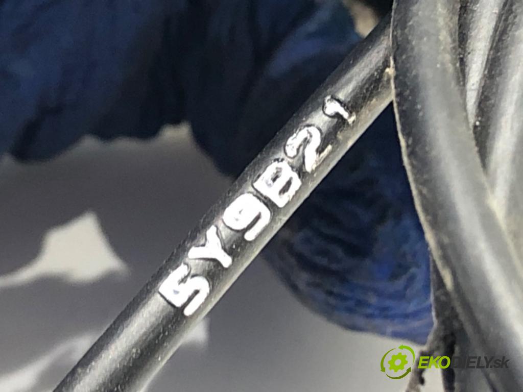 TOYOTA CAMRY sedan 2019 131 kW 2.5 Hybrid (AXVH71_) 2487 lanko kapoty