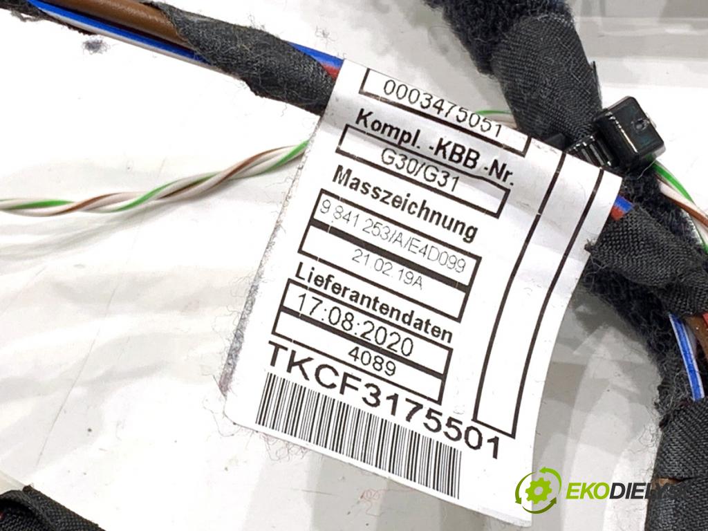BMW G30 sedan 2020 140 kW 520 d xDrive 1995 káblovačka dveře přední část levý 9841253