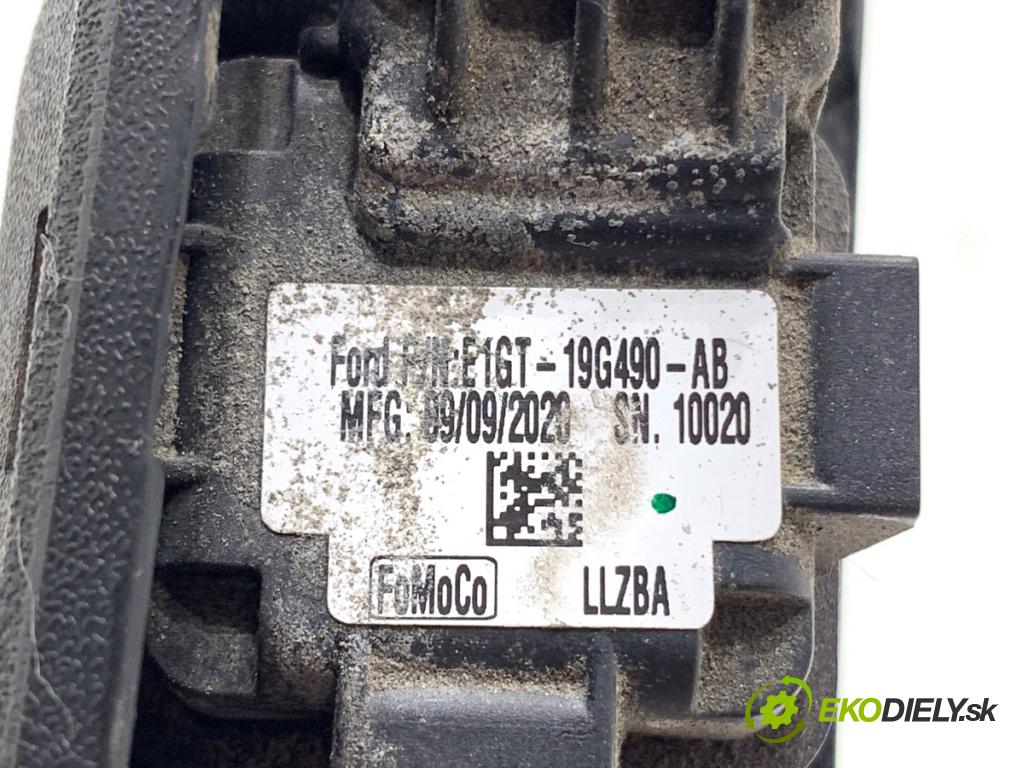 FORD S-MAX nadwozie wielkoprzestrzenne (MPV) 2021 140 kW 2.0 EcoBlue 4x4 1995 KAMERA ZPĚT: E1GT-19G490-AB