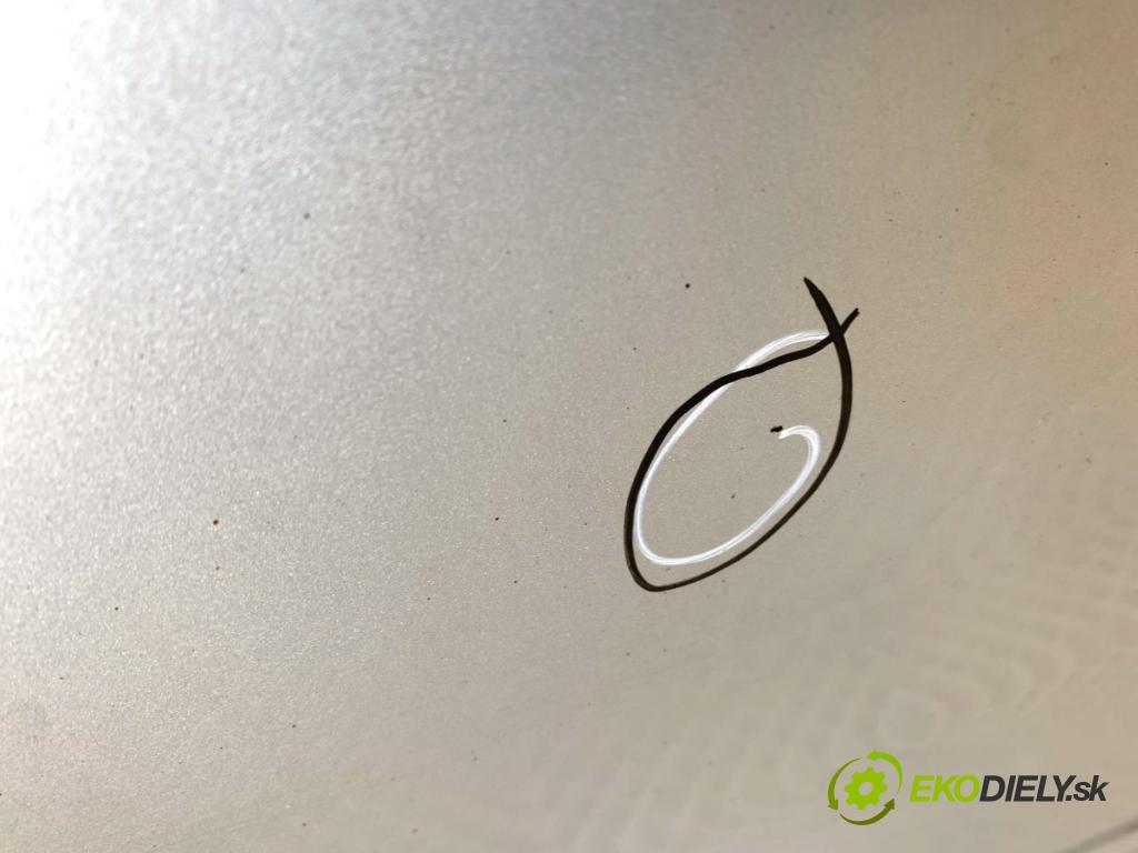 CITROEN C5 III sedan 2009 103 kW 2.0 HDi 140 1997 dveře levý přední část