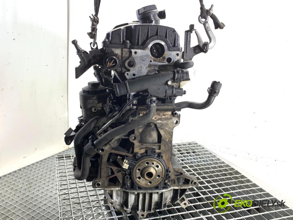 VW PASSAT B6 sedan 2007 77 kW 1.9 TDI 1896 Motor BXE (Motor)