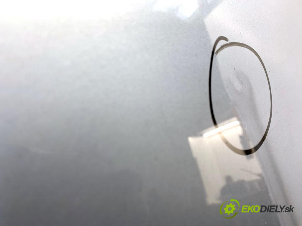 VW PASSAT B6 sedan 2005 110 kW 2.0 FSI 1984 Kapota  (Kapota)