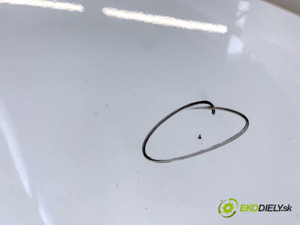 FORD ECOSPORT SUV 2019 92 kW 1.0 EcoBoost 998 Blatník pravy predný DH