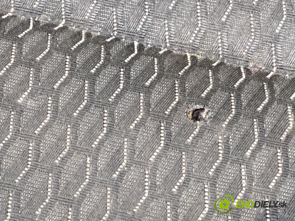 VW CADDY IV Nadwozie pełne/minivan 2020 110 kW 2.0 TDI 1968 Sedadlo pravy predný