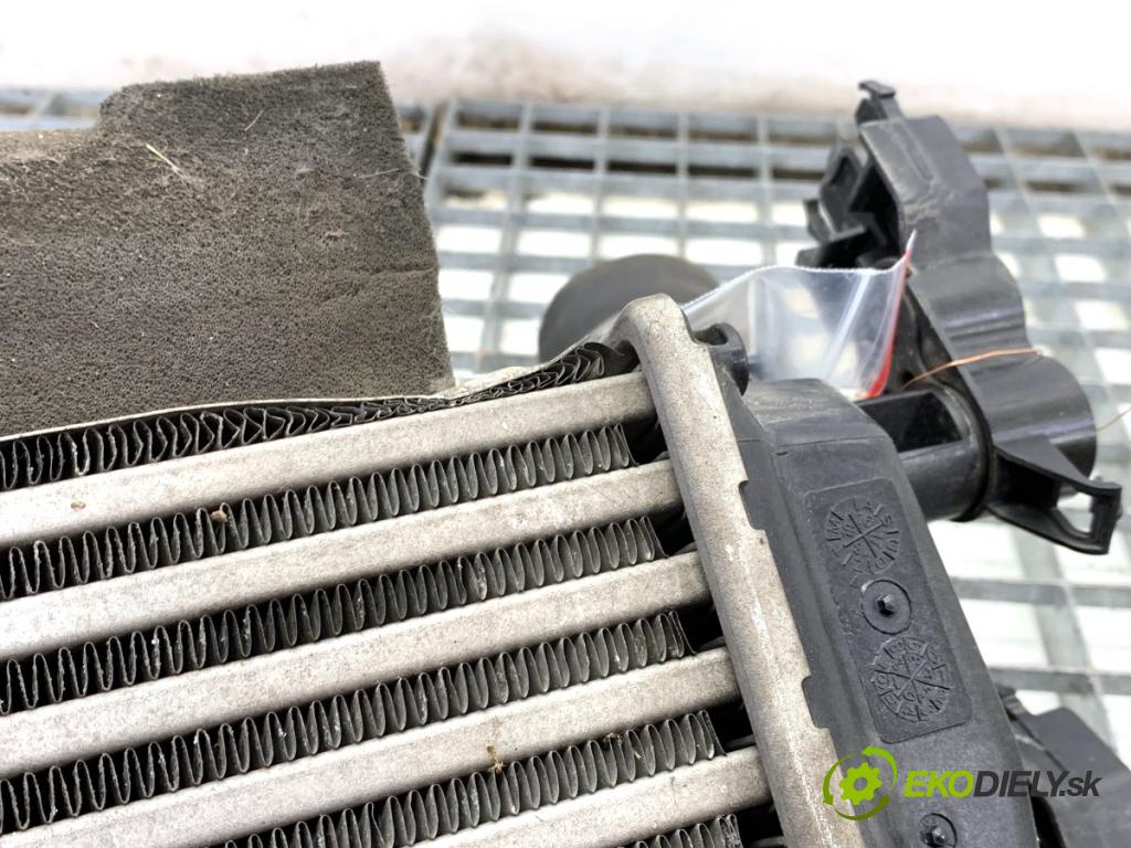FORD ECOSPORT SUV 2018 92 kW 1.0 EcoBoost 998 intercooler H1BG-6K775-AC (Intercooler (chladič nasávaného vzduchu))