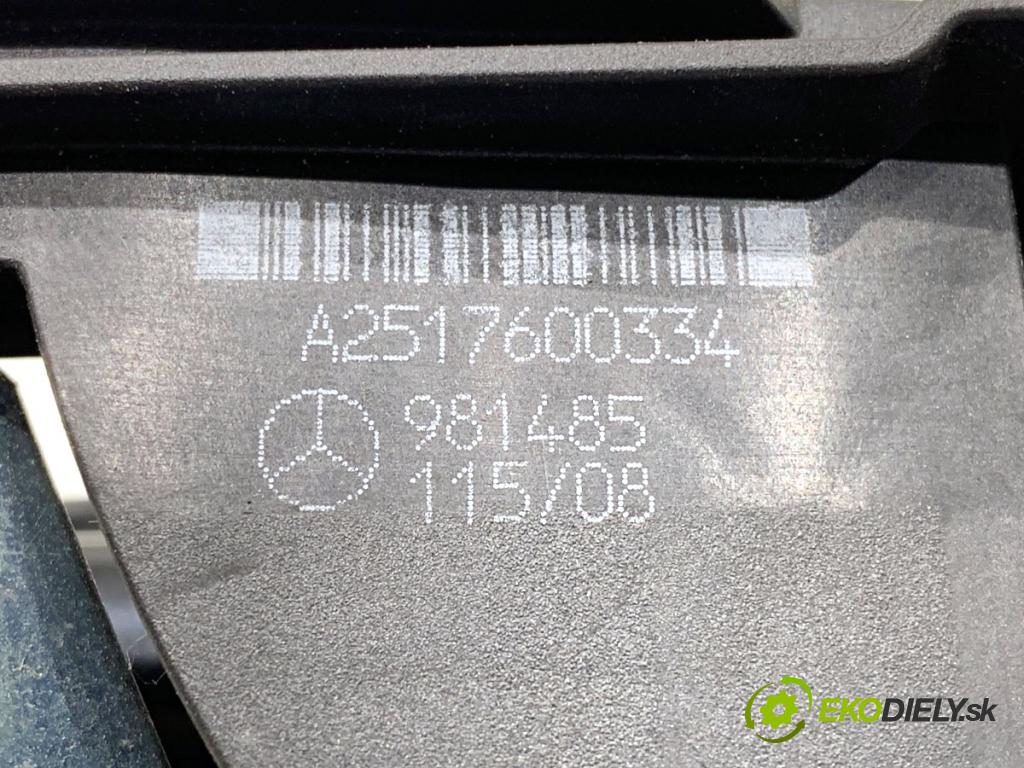 MERCEDES-BENZ W251 nadwozie wielkoprzestrzenne (MPV) 2008 165 kW R 320 CDI 4-matic (251.022, 251.122) 2987 klika vnejší levý přední část A2517600334