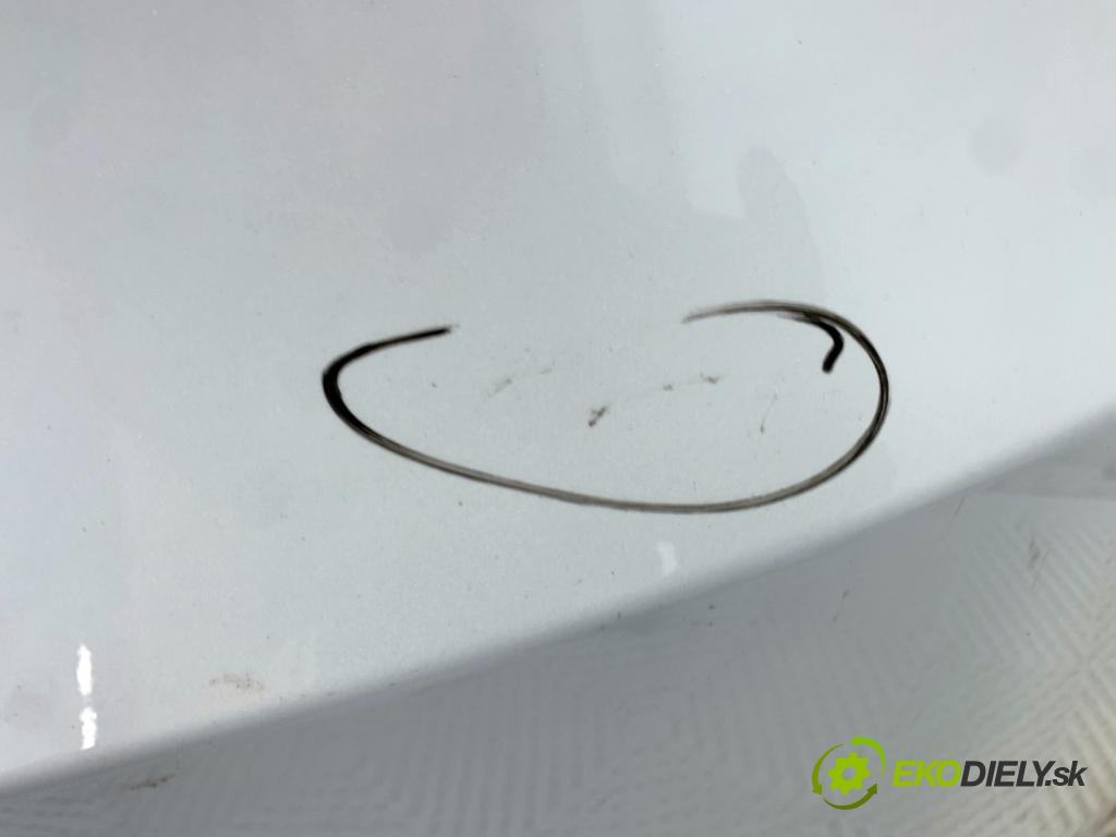 TESLA MODEL Y SUV 2024 220 kW EV Nárazník zad PPSW (Kľučka dverí ostatné)