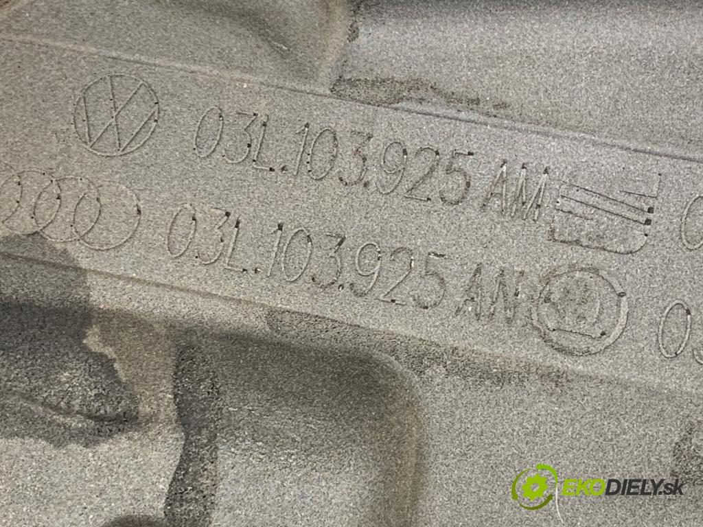 VW TIGUAN SUV 2009 103 kW 2.0 TDI 4motion 1968 Kryt Motor 03L103925AM (Kryt motora)