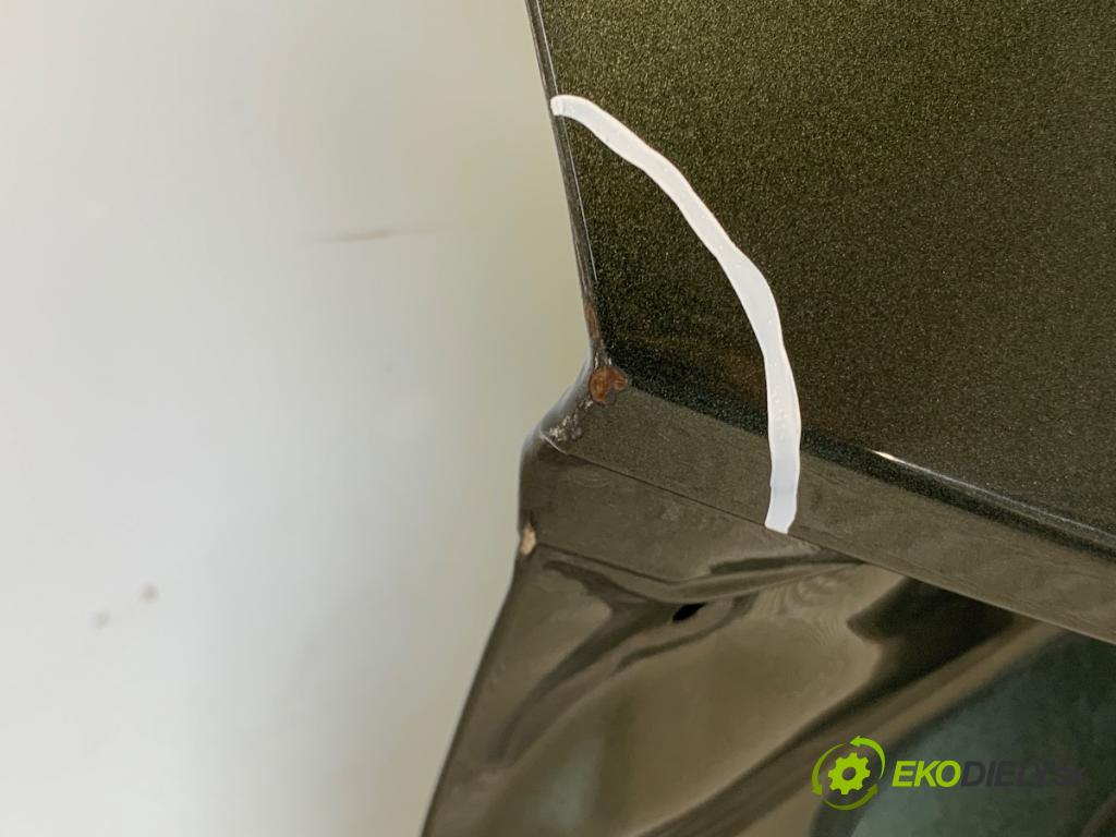LEXUS NX SUV 2024 179 kW 350h (AAZH20) 2487 kapota zad