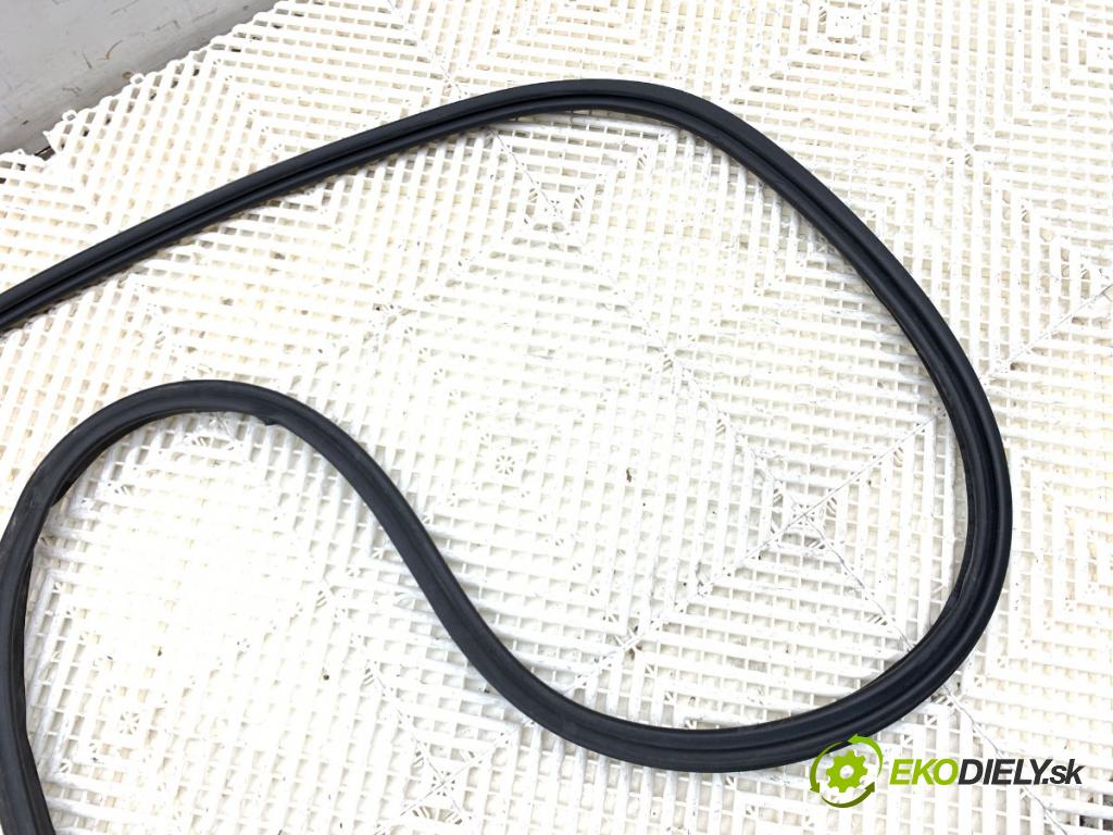 LEXUS NX SUV 2015 145 kW 300h AWD (AYZ15) 2494 tesnenie dverí zad