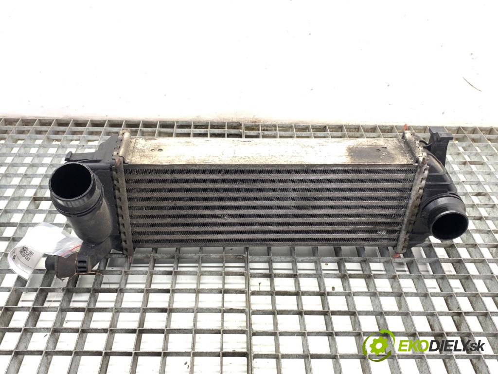 MERCEDES-BENZ CITAN nadwozie wielkoprzestrzenne (MPV) 2016 81 kW 111 CDI (415.703, 415.705) 1461 intercooler 144963234R (Intercooler (chladič stlačeného vzduchu))