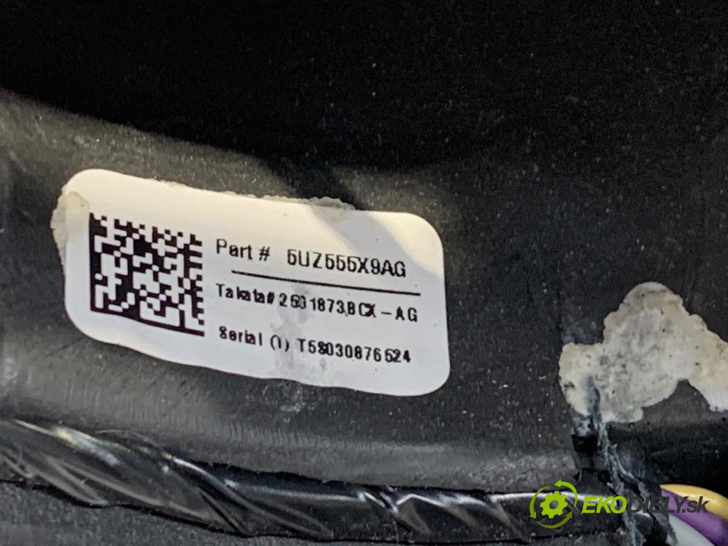 CHRYSLER PACIFICA nadwozie wielkoprzestrzenne (MPV) 2018 185 kW 3.6 Hybrid 3604 volant  (Volant)