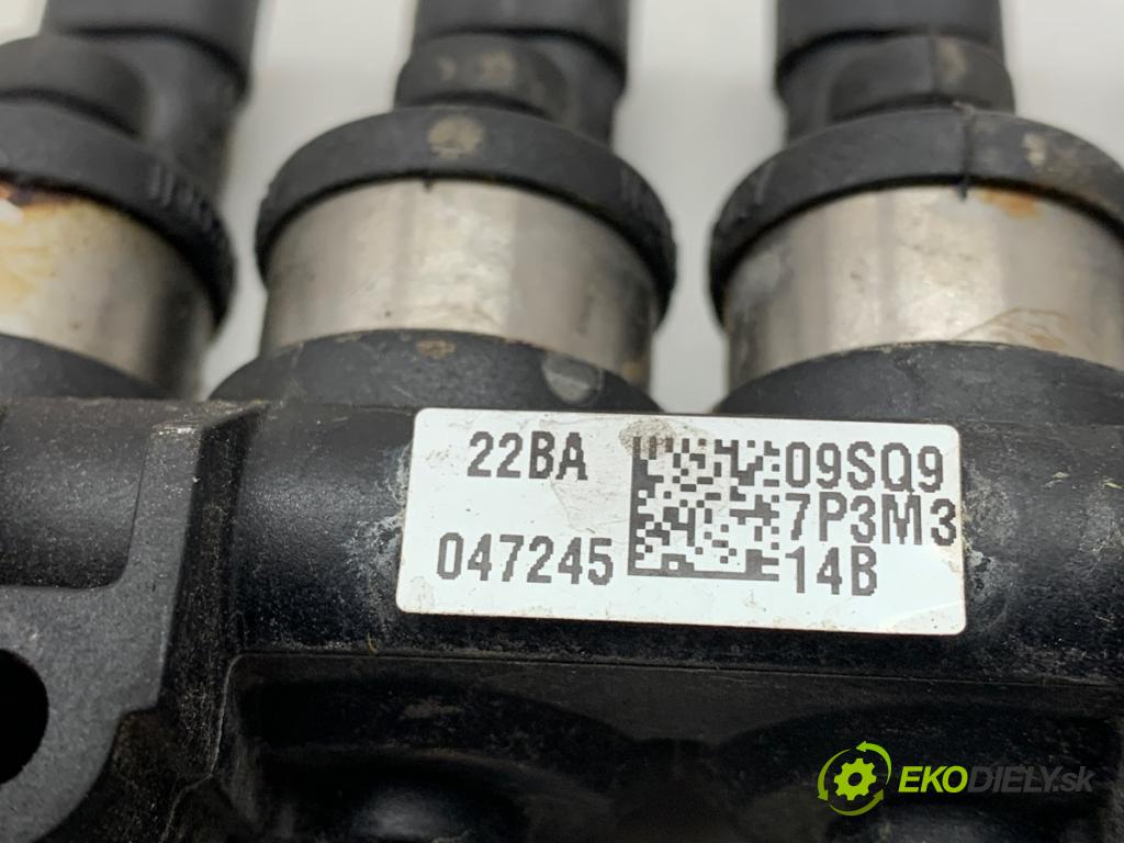 HONDA FR-V nadwozie wielkoprzestrzenne (MPV) 2007 110 kW 2.0 (BE3) 1998 vstrekovač LPG 09SQ9