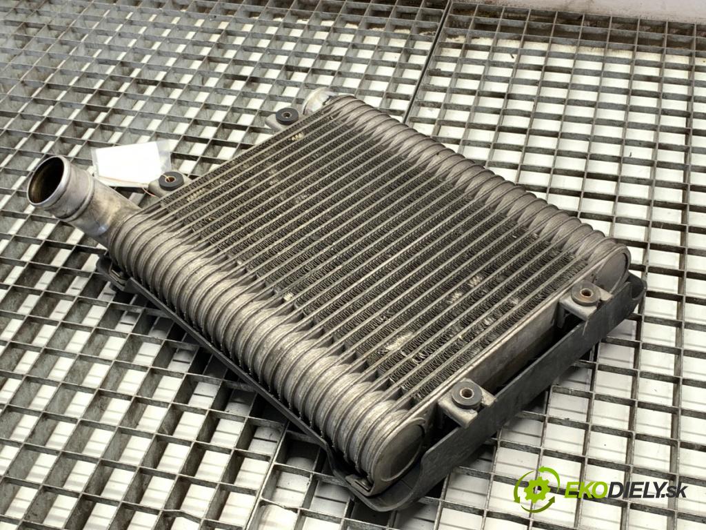 HYUNDAI SANTE FE I SUV 2002 83 kW 2.0 CRDi 4x4 1991 intercooler (Intercooler (chladič nasávaného vzduchu))