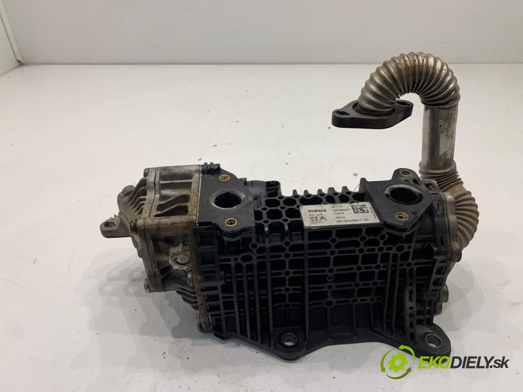 TOYOTA PROACE Nadwozie pełne/minivan 2024 75 kW 1.5 D-4D 100 (BPZMD) 1499 chladič EGR 9813050280