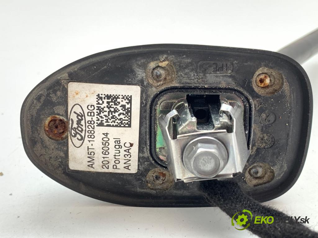 FORD FOCUS III Kombi 2016 88 kW 1.5 TDCi 1499 ANTENA AM5T-18828-BG