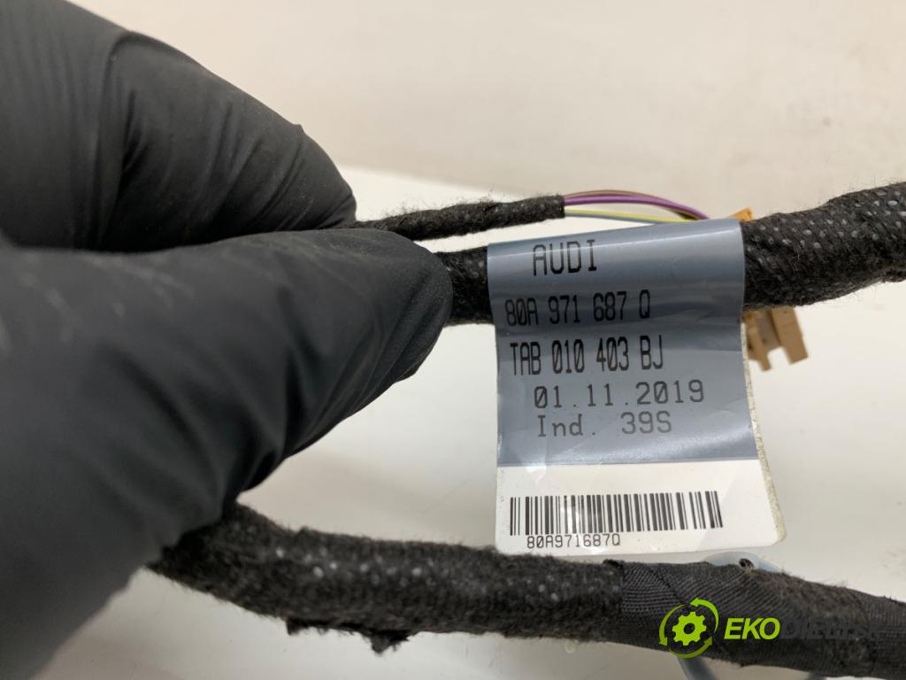 AUDI Q5 FY SUV 2021 195 kW 55 TFSI e quattro 1984 Káblovačka Dvere zad ľavy 80A971687Q