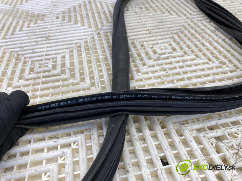 CITROEN C3 III liftback 2022 61 kW 1.2 PureTech 82 1199 tesnenie Dvere ľavy predný 9813059580