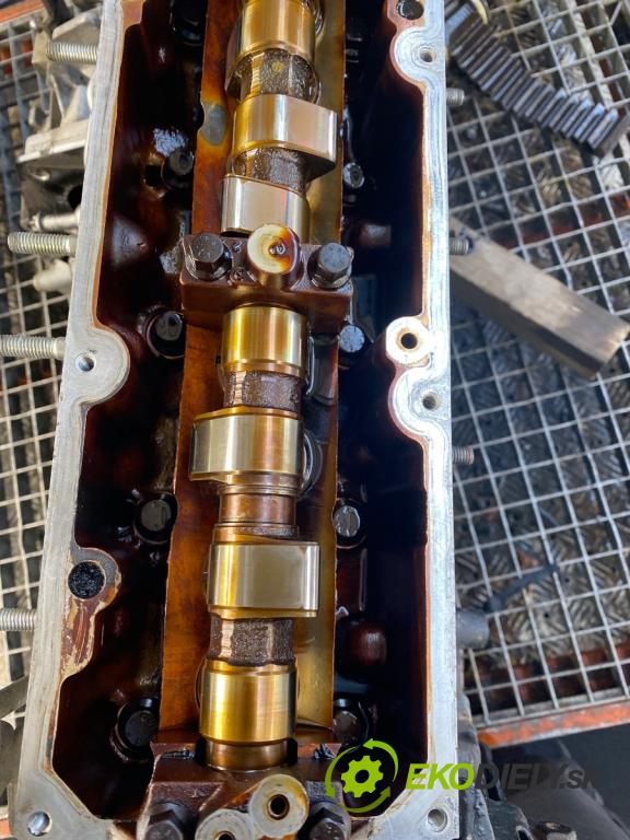 FIAT PUNTO EVO liftback 2010 57 kW 1.4 (199AXB1A) 1368 Motor 350A1000 (Motor)
