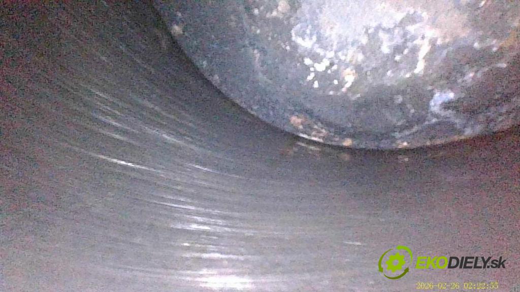 FIAT PUNTO EVO liftback 2010 57 kW 1.4 (199AXB1A) 1368 Motor 350A1000 (Motor)
