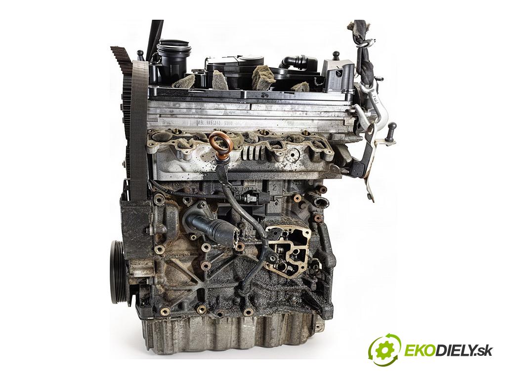 VW TIGUAN SUV 2008 103 kW 2.0 TDI 4motion 1968 motor CBA (Motor)