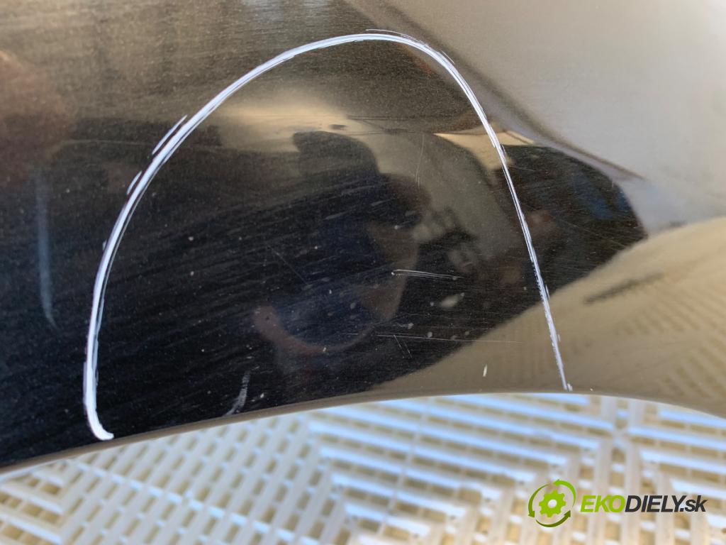 RENAULT SCENIC III nadwozie wielkoprzestrzenne (MPV) 2010 96 kW 1.9 dCi (JZ0J, JZ1J, JZ1K, JZ1S) 1870 Blatník pravy predný NV676