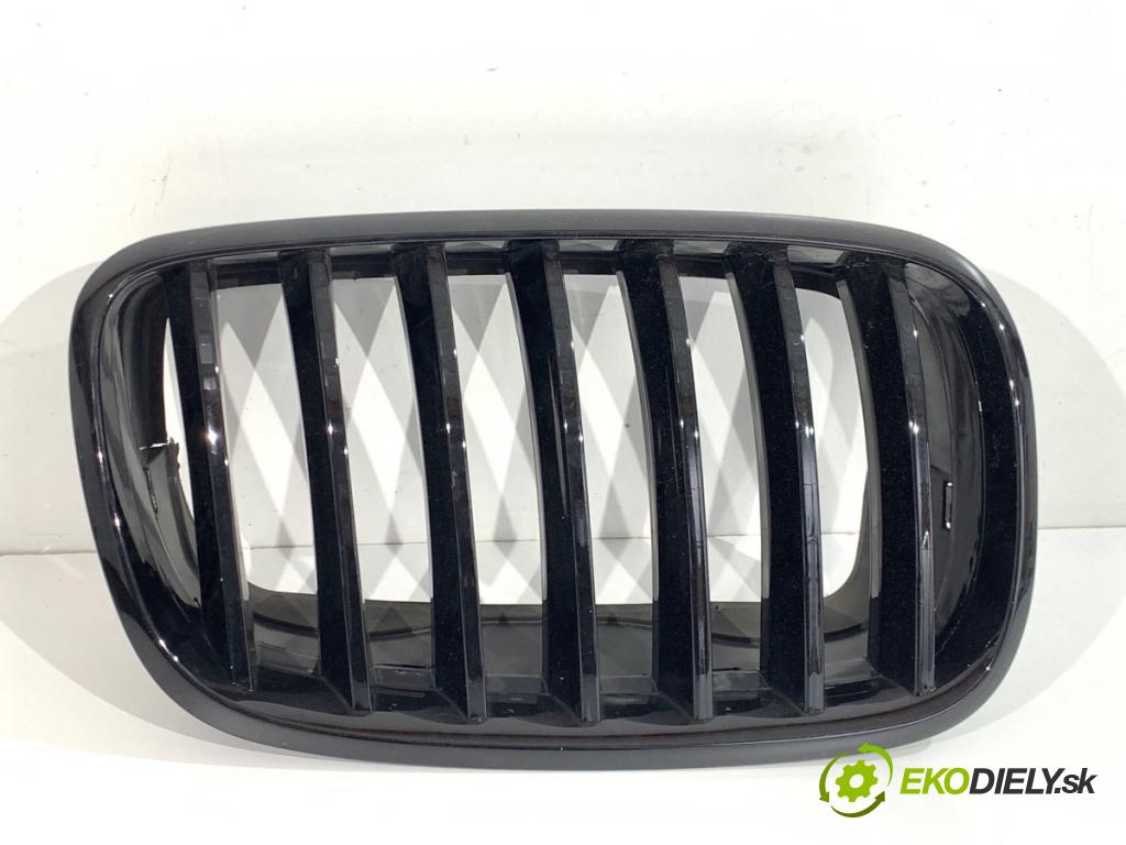 BMW E70 SUV 2011 225 kW xDrive 40 d 2993 Mriežka maska M-Paket 7171396