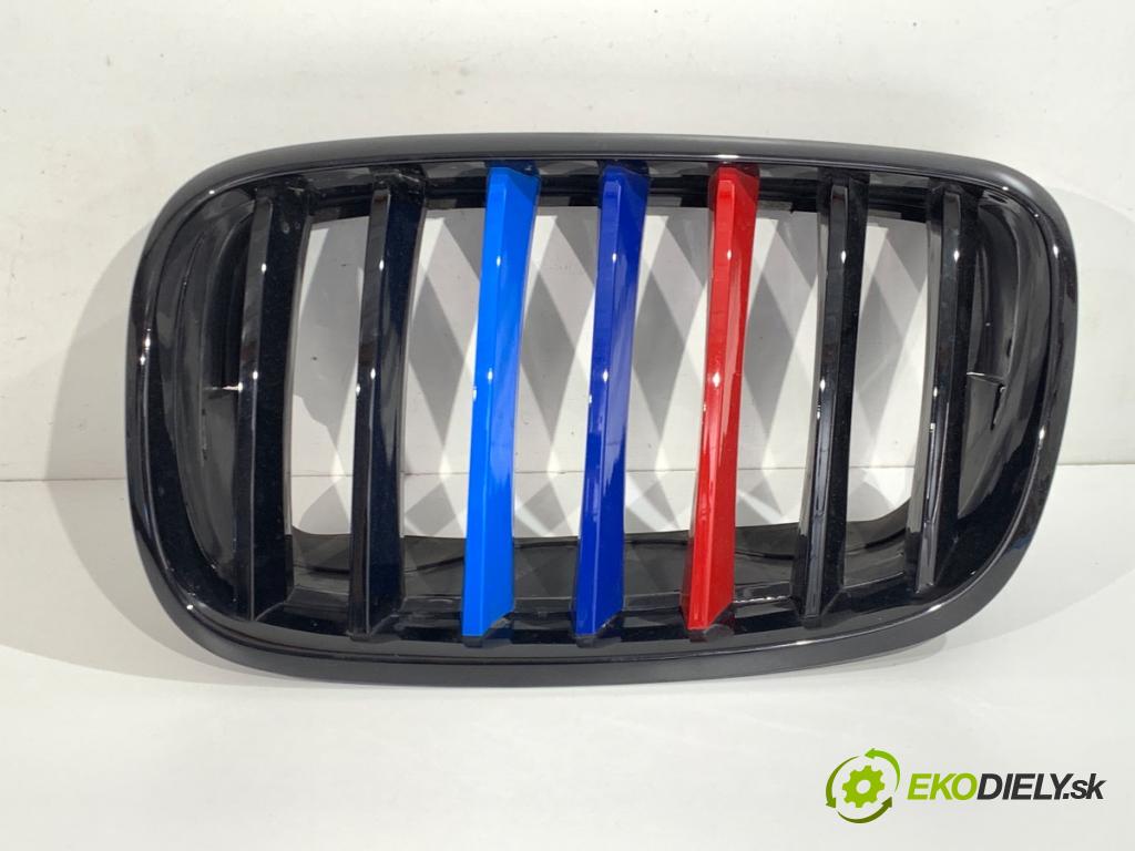 BMW E70 SUV 2011 225 kW xDrive 40 d 2993 Mriežka maska M-Paket 7171396