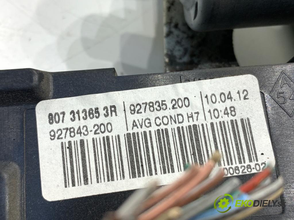 RENAULT SCENIC III nadwozie wielkoprzestrzenne (MPV) 2010 96 kW 1.9 dCi (JZ0J, JZ1J, JZ1K, JZ1S) 1870 Mechanizmus okna ľavy predný 807313653R