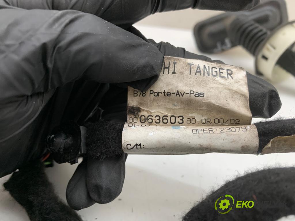 CITROEN C4 PICASSO II nadwozie wielkoprzestrzenne (MPV) 2013 115 kW 1.6 THP 155 1598 káblovačka dveře přední část pravý 9806360380