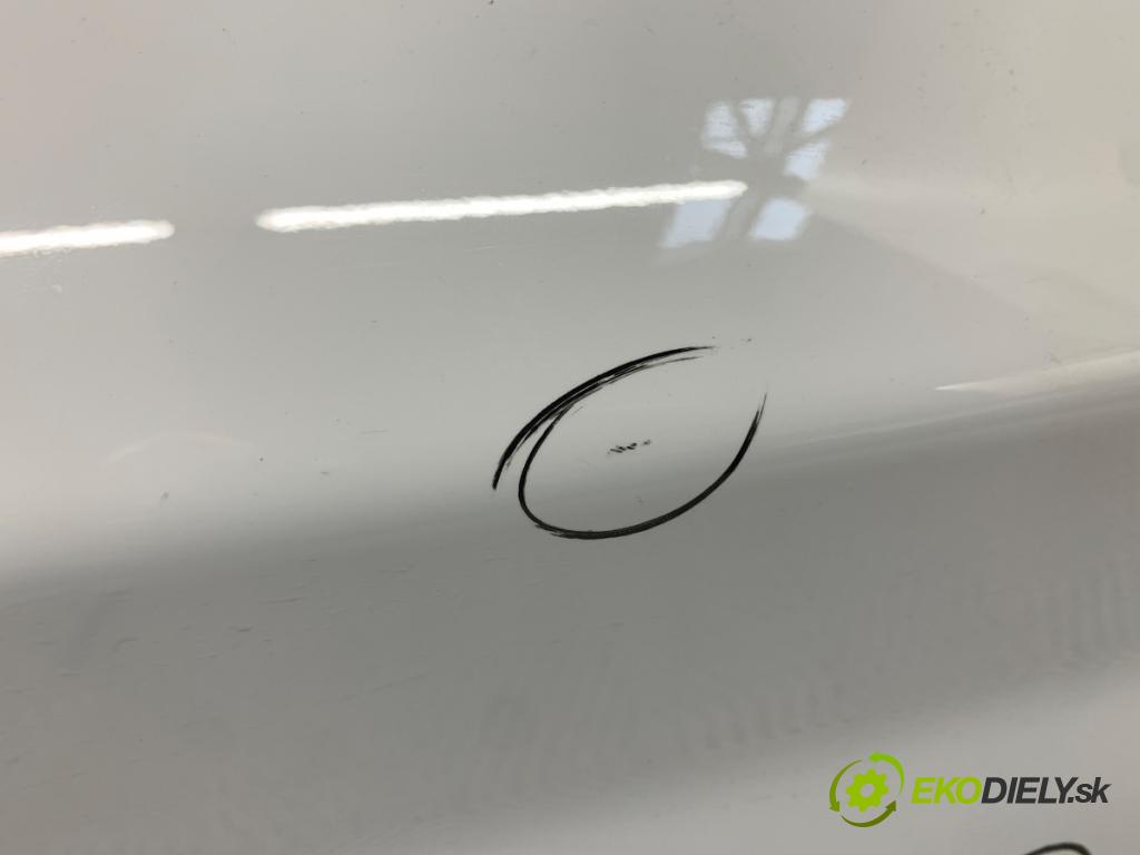 BMW F20 liftback 2019 100 kW 118 i 1598 Dvere ľavy zad 300
