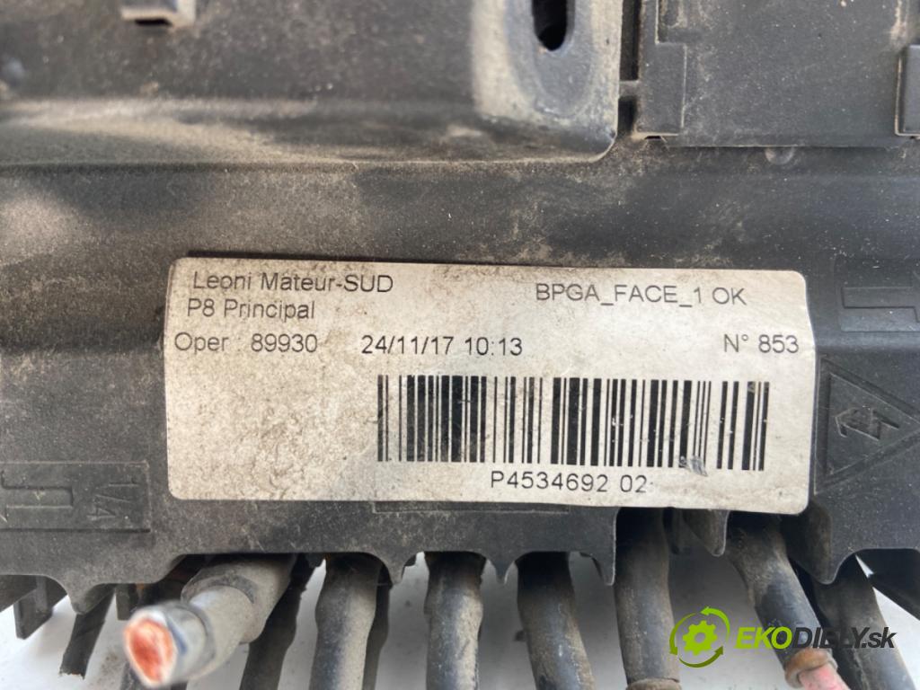 PEUGEOT 5008 II nadwozie wielkoprzestrzenne (MPV) 2017 133 kW 2.0 BlueHDi 180 1997 Modul akumulátora 9675349880