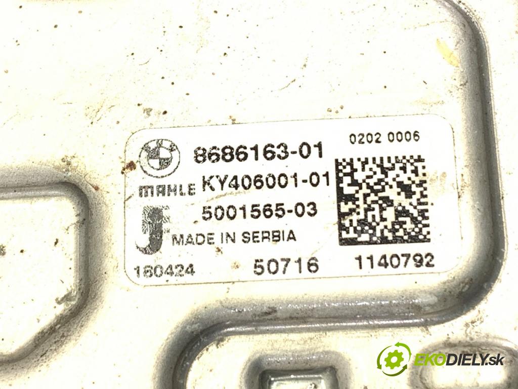 BMW G30 sedan 2018 140 kW 520 d Mild-Hybrid 1995 Ventilátor chladiča 8686163 (Ventilátor)