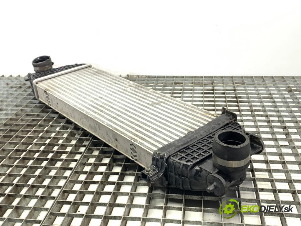 SUZUKI GRAND VITARA II samochód terenowy zamknięty 2006 95 kW 1.9 DDiS Napęd na wszystkie koła (JT419, TD44, JB419WD,... 1870 intercooler  (Intercooler (chladič stlačeného vzduchu))
