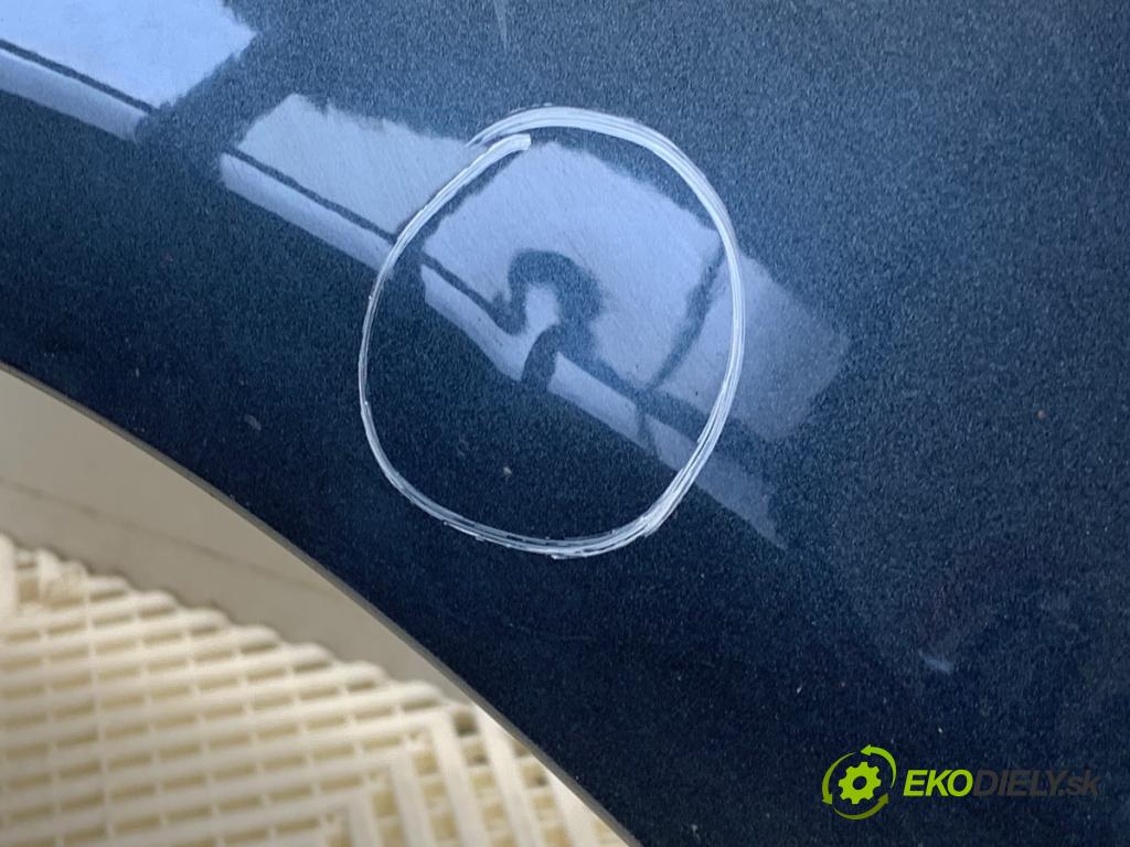 DACIA SANDERO liftback 2008 55 kW 1.4 (B30C, BS0C, BS0A, BS0G, BS1F, BS0E) 1390 Blatník pravy predný