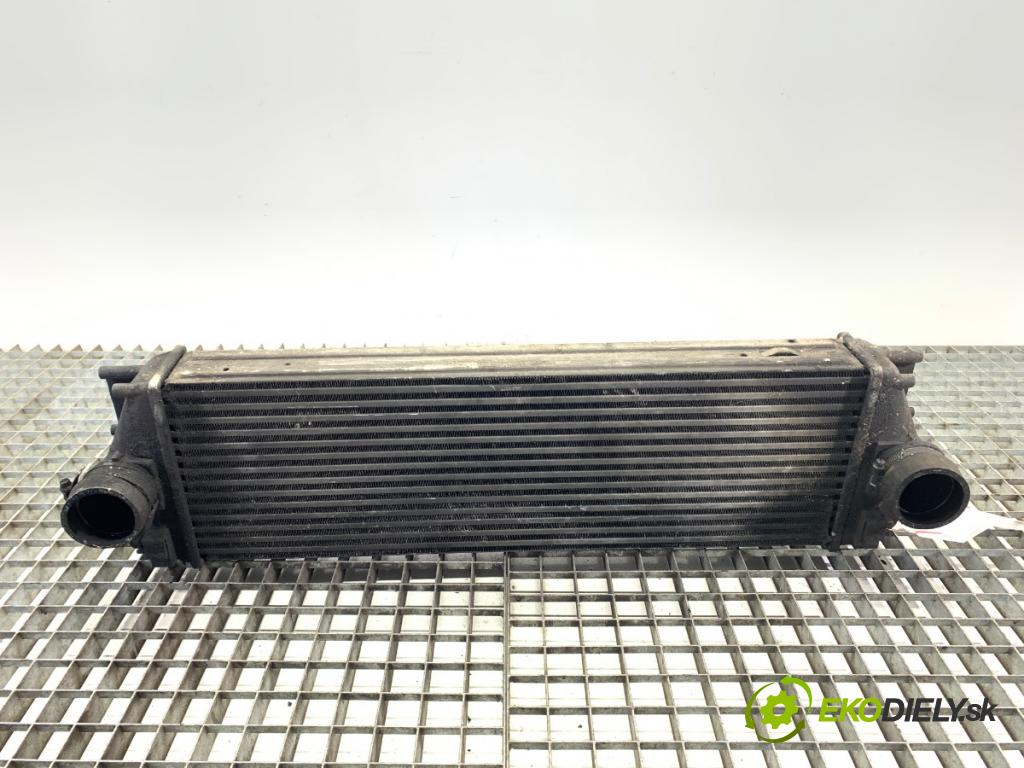 MERCEDES-BENZ W906 Autobus 2006 135 kW 218 CDI (906.711, 906.713) 2987 intercooler 880587WC (Intercooler (chladič stlačeného vzduchu))