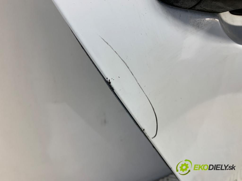 RENAULT MEGANE III liftback 2010 63 kW 1.5 dCi 1461 Dvere pravy zad