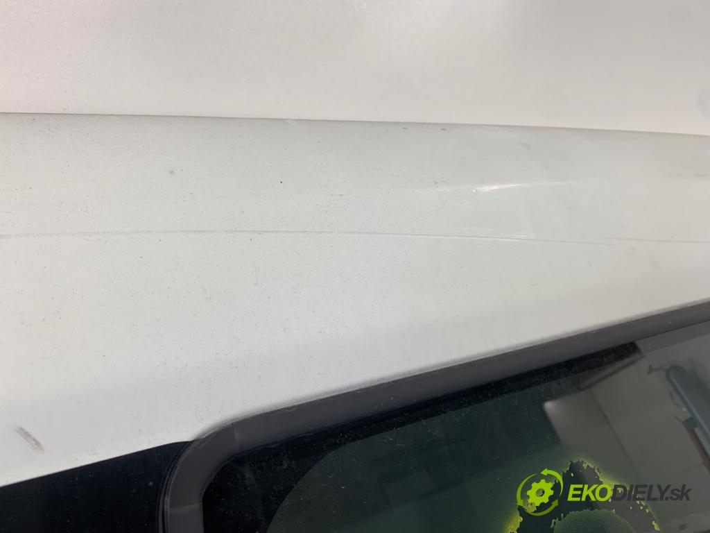 FIAT DOBLO II Nadwozie pełne/minivan 2011 99 kW 2.0 D Multijet 1956 dveře pravý zadní část posuvní