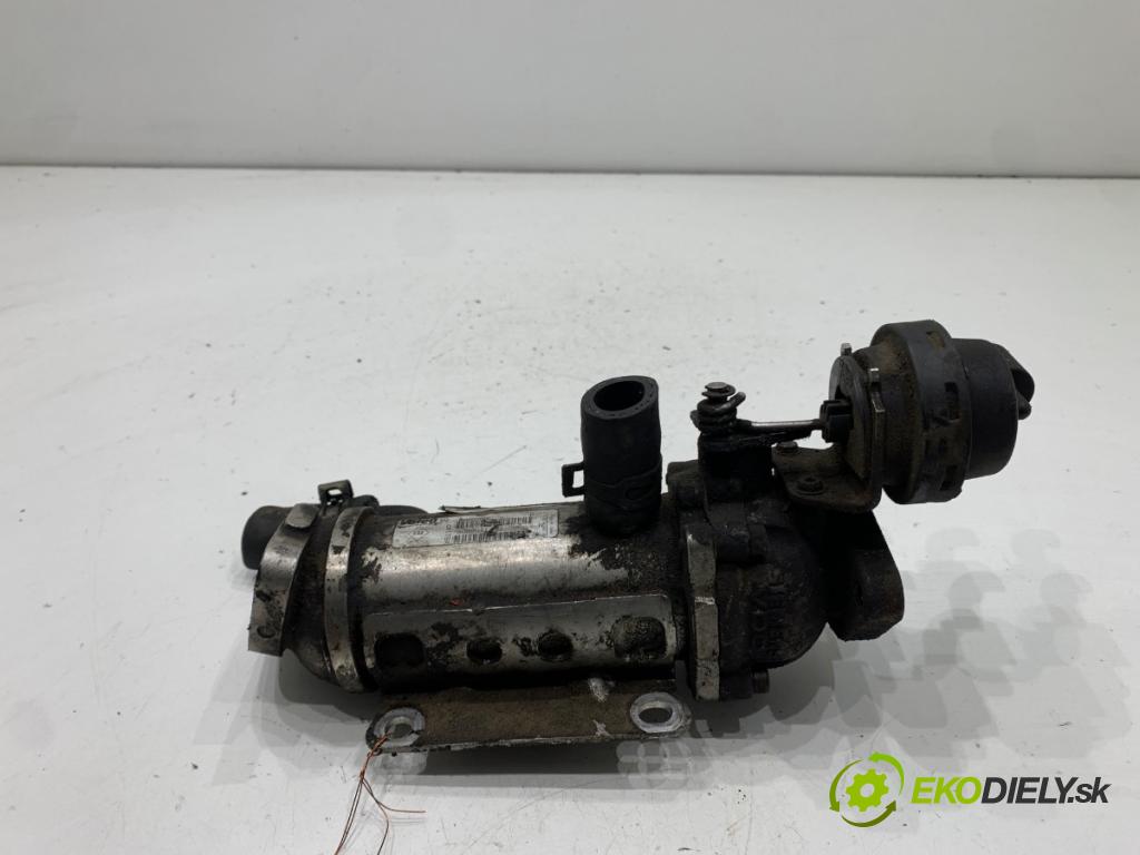 RENAULT LAGUNA III liftback 2008 96 kW 2.0 dCi (BT07, BT0J, BT14, BT1A, BT1S) 1995 chladič EGR 880255X