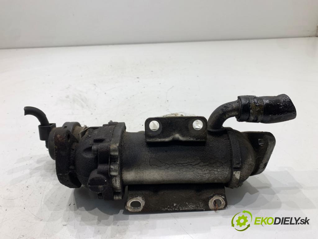 RENAULT LAGUNA III liftback 2008 96 kW 2.0 dCi (BT07, BT0J, BT14, BT1A, BT1S) 1995 chladič EGR 880255X