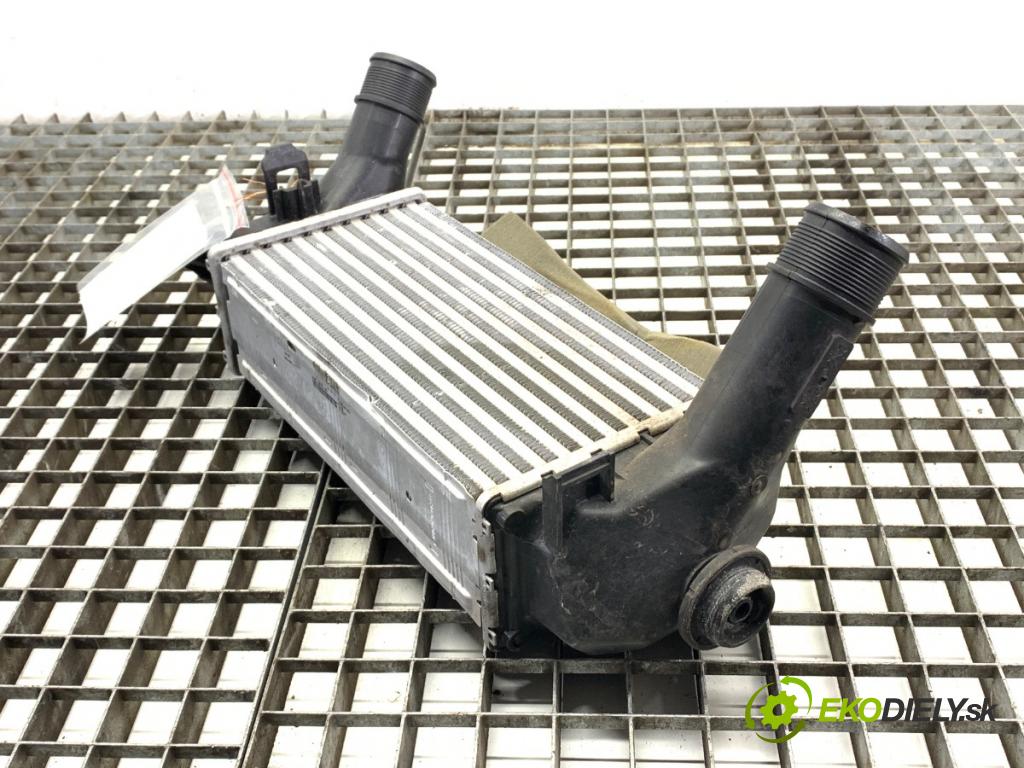 FORD ECOSPORT SUV 2021 92 kW 1.0 EcoBoost 998 intercooler H1BG-6K775-AC (Intercooler (chladič stlačeného vzduchu))