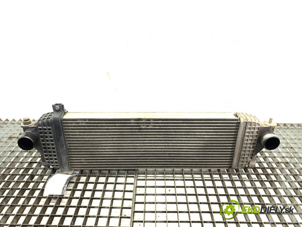 SUZUKI GRAND VITARA II samochód terenowy zamknięty 2006 95 kW 1.9 DDiS (JB419WD, JB419XD) 1870 intercooler  (Intercooler (chladič nasávaného vzduchu))