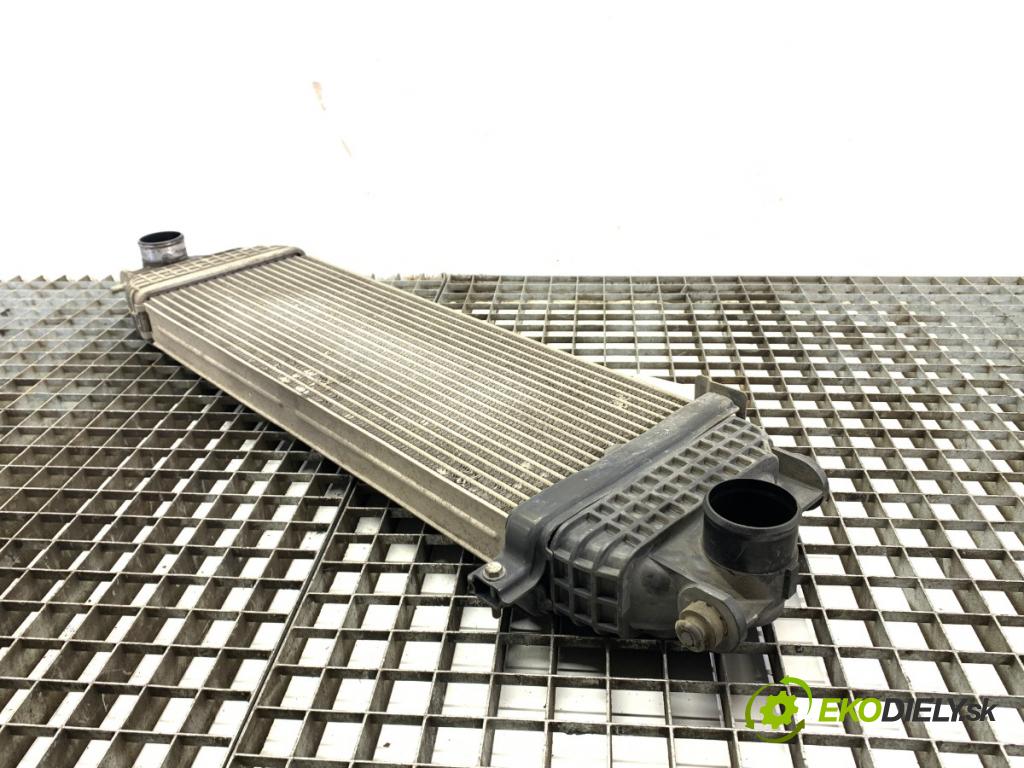 SUZUKI GRAND VITARA II samochód terenowy zamknięty 2006 95 kW 1.9 DDiS (JB419WD, JB419XD) 1870 intercooler  (Intercooler (chladič nasávaného vzduchu))