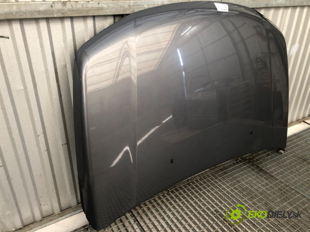 SUZUKI GRAND VITARA II samochód terenowy zamknięty 2006 95 kW 1.9 DDiS (JB419WD, JB419XD) 1870 Kapota  (Kapota)