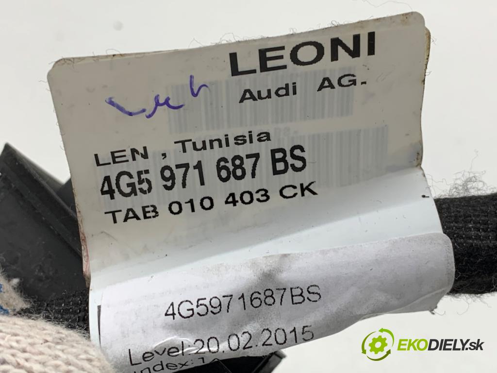 AUDI A6 C7 Kombi 2016 160 kW 3.0 TDI quattro 2967 káblovačka dveře zadní část pravý 4G5971687BS